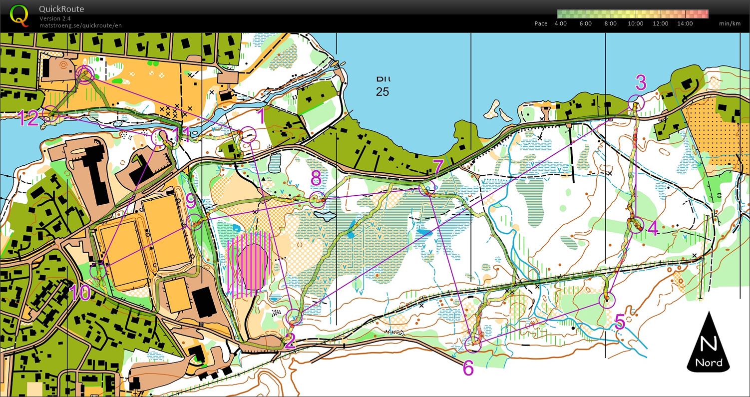 Treningsløp Fremmerholen (14/05/2019)